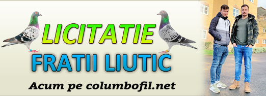 https://www.columbofil.net/index.php?act=licitatii&id=2452